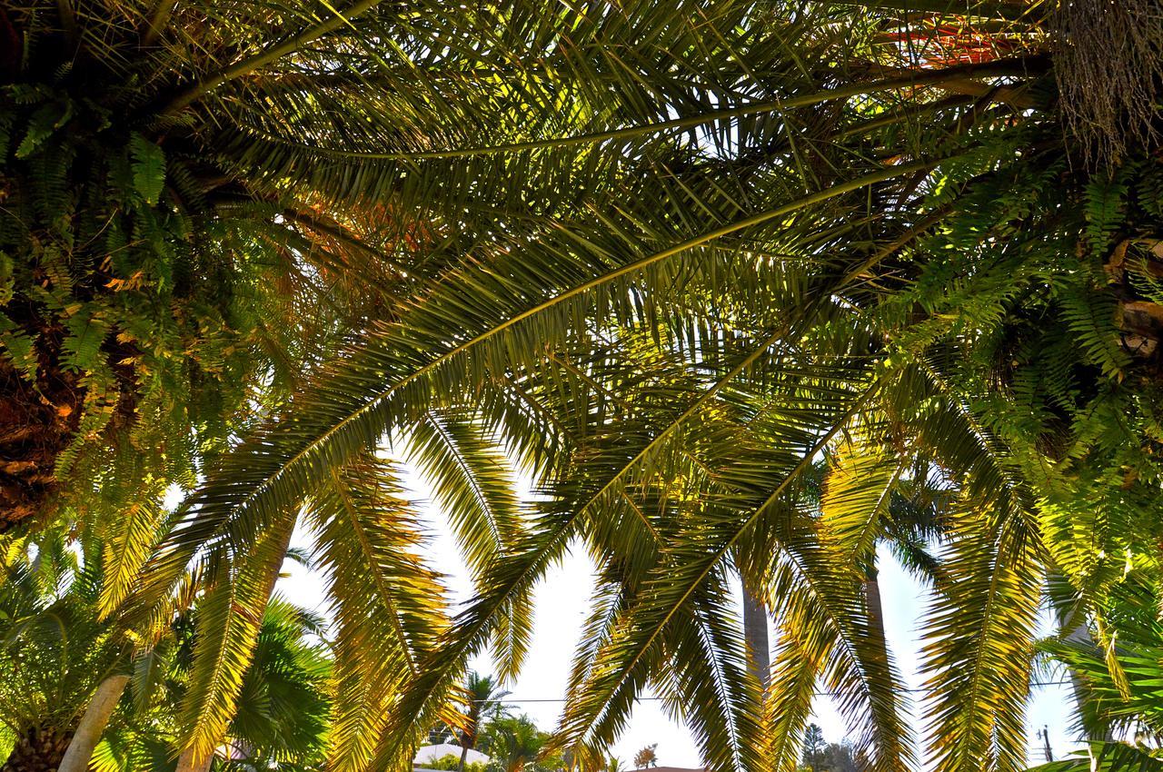 Twin Palms At Siesta Hotel Siesta Key Exterior photo